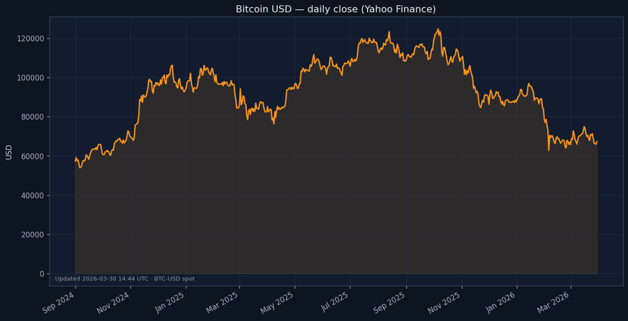 Bitcoin whale accumulation chart showing sharp increase in large wallet holdings after Trump Iran comments