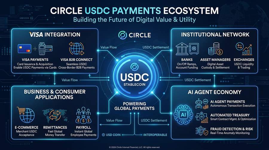 Circle USDC payments ecosystem showing Visa integration, institutional network, and AI agent infrastructure