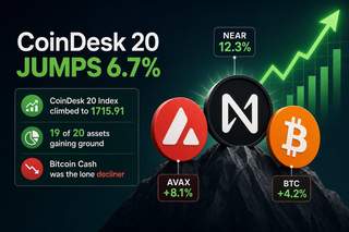 CoinDesk 20 Index performance chart showing NEAR and TAO leading gains while BCH declines