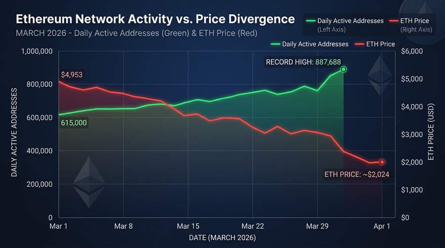 Ethereum network activity and price divergence chart showing record addresses alongside declining ETH price