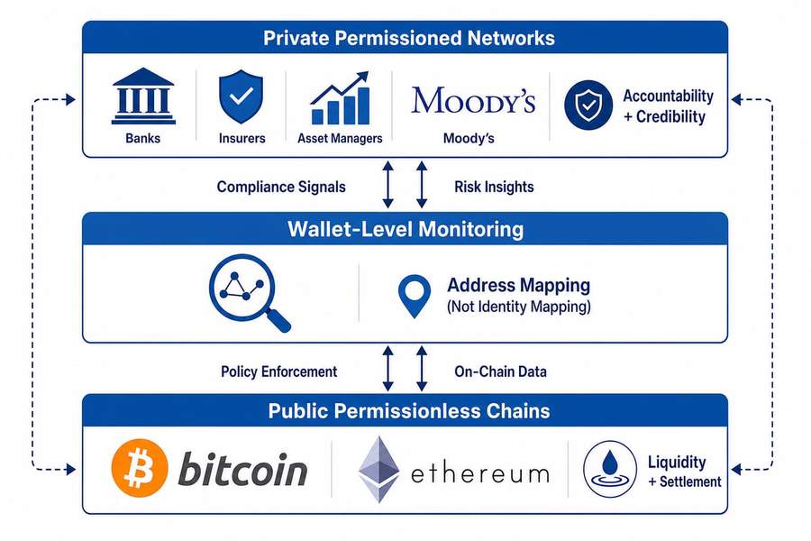 Diagram showing three-tier hybrid blockchain architecture with private networks for accountability, wallet monitoring layer, and public chains for liquidity