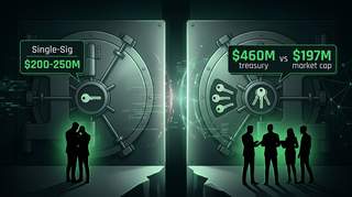 Split treasury diagram showing NEO token holdings divided between two separate wallets